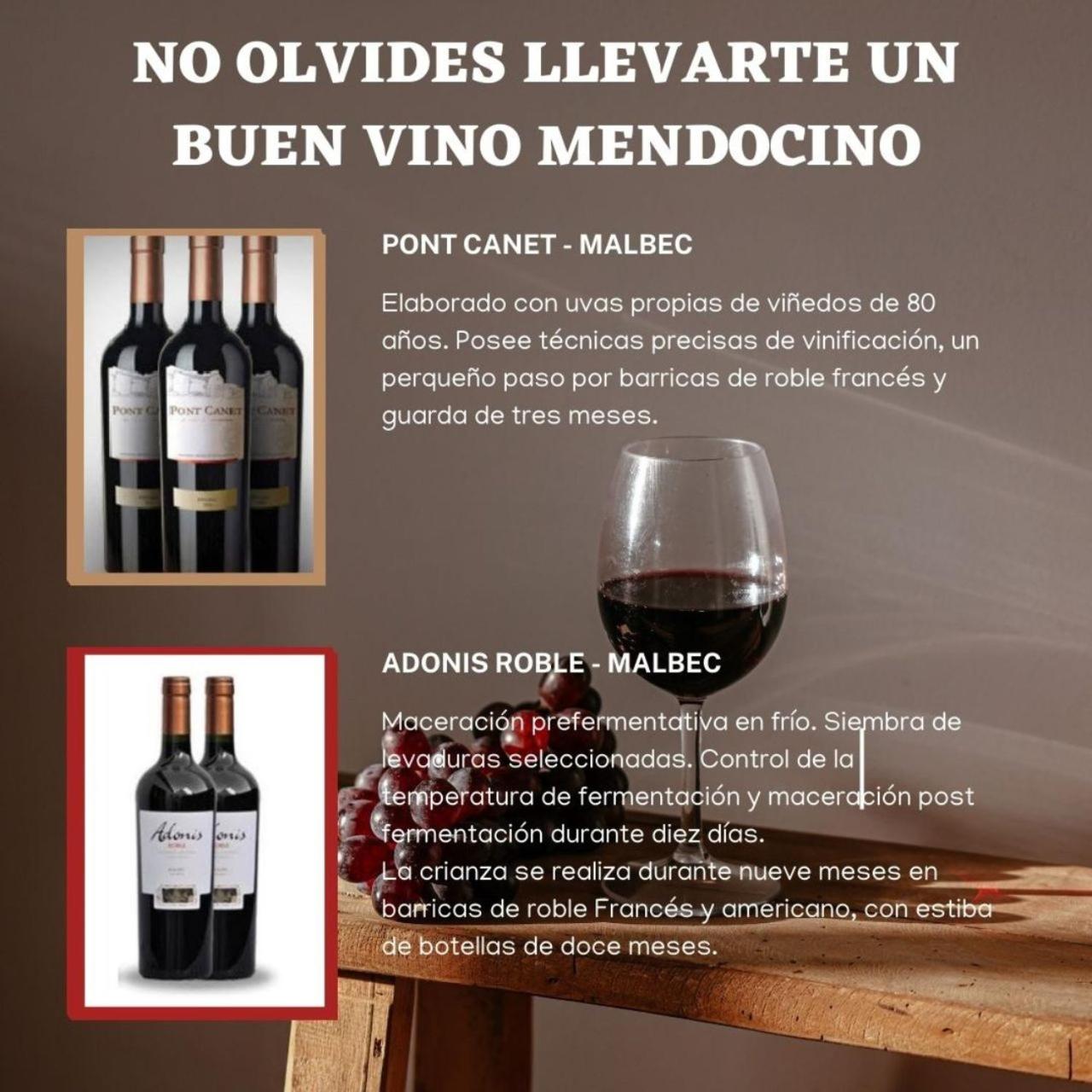 Departamento Malbec -Céntrico-