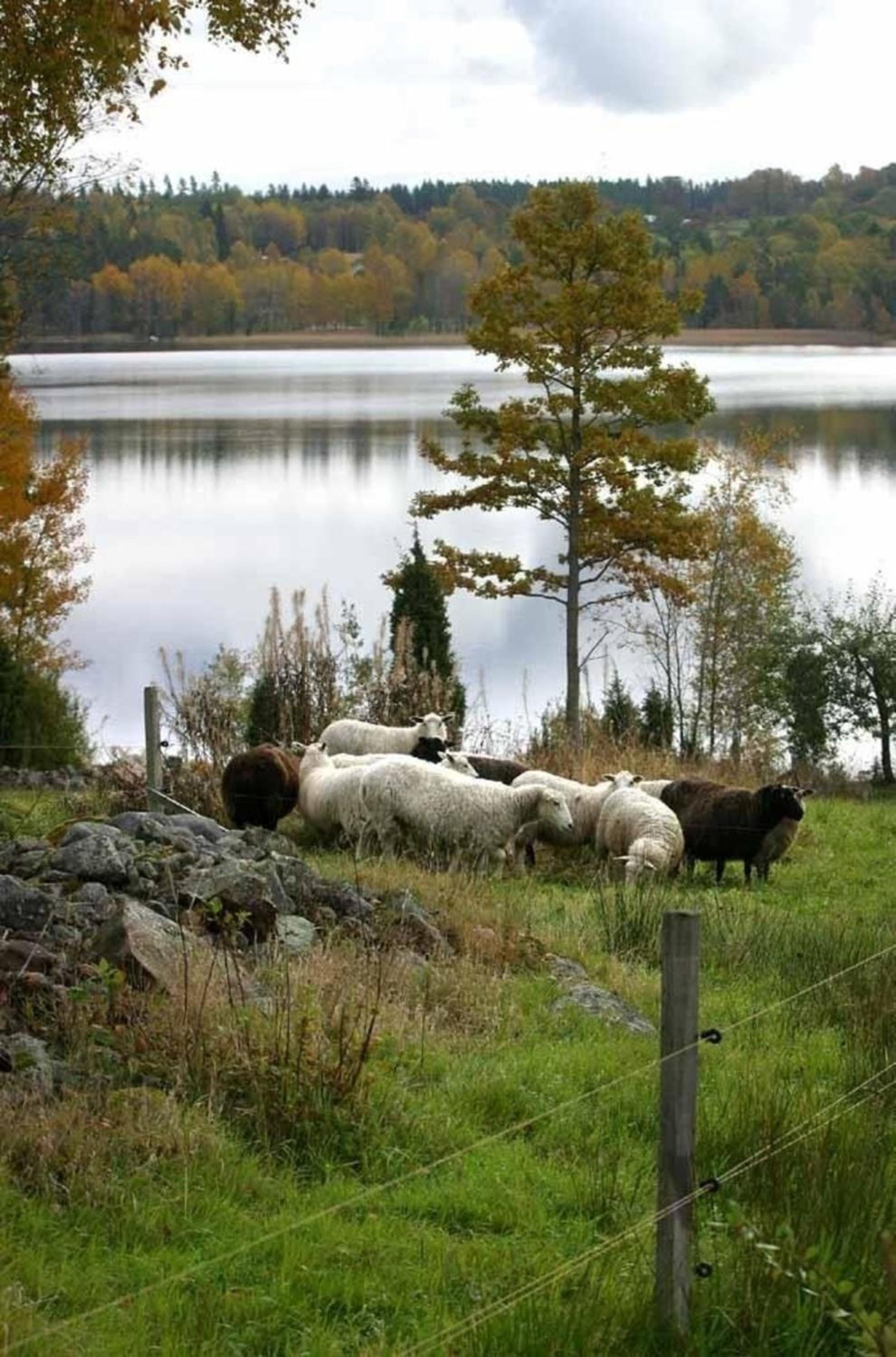 Haus mit toller Aussicht an einem schönen See