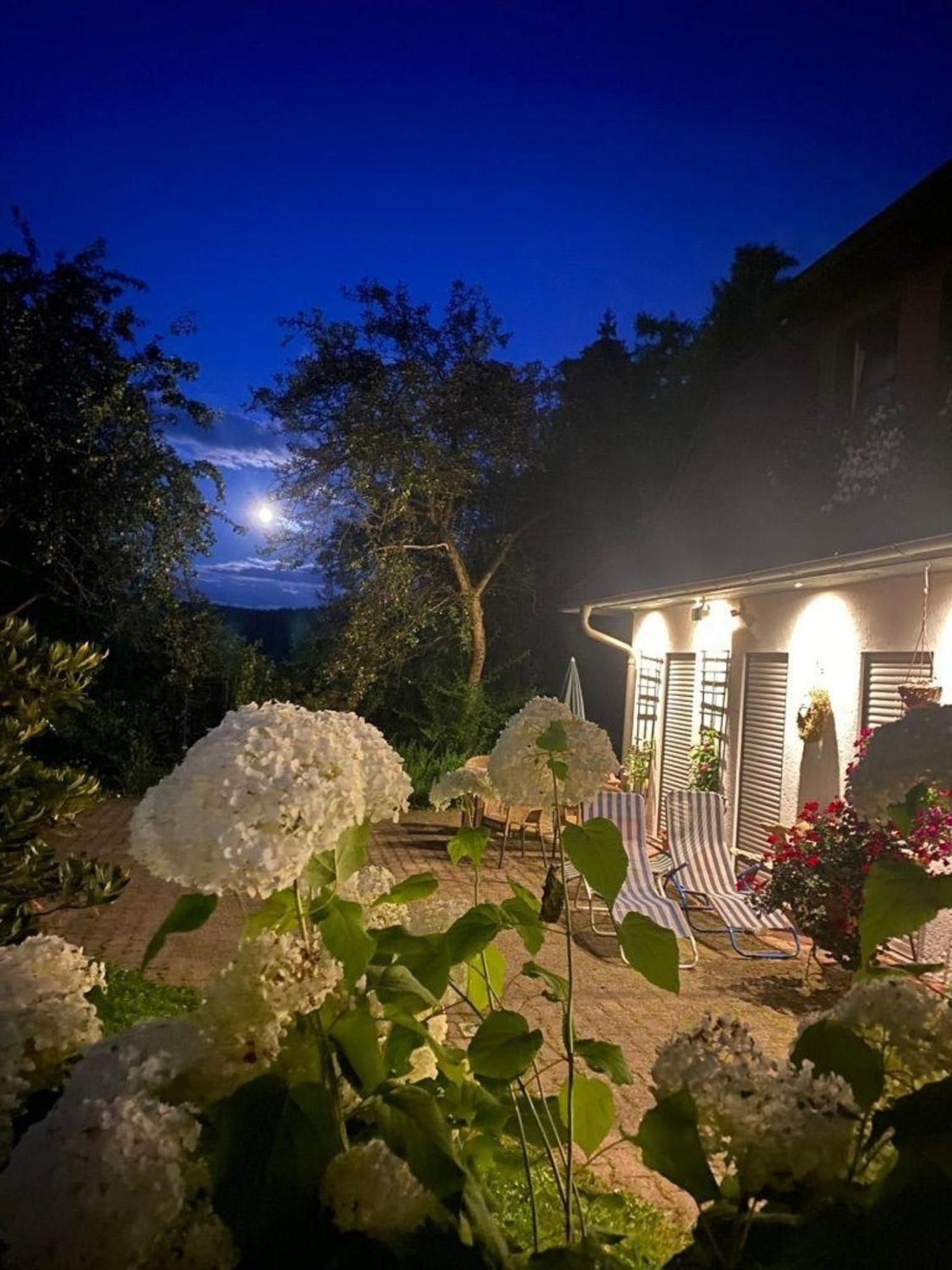 Geräumige Wohnung in Bad Elster mit Terrasse, Garten und Grill