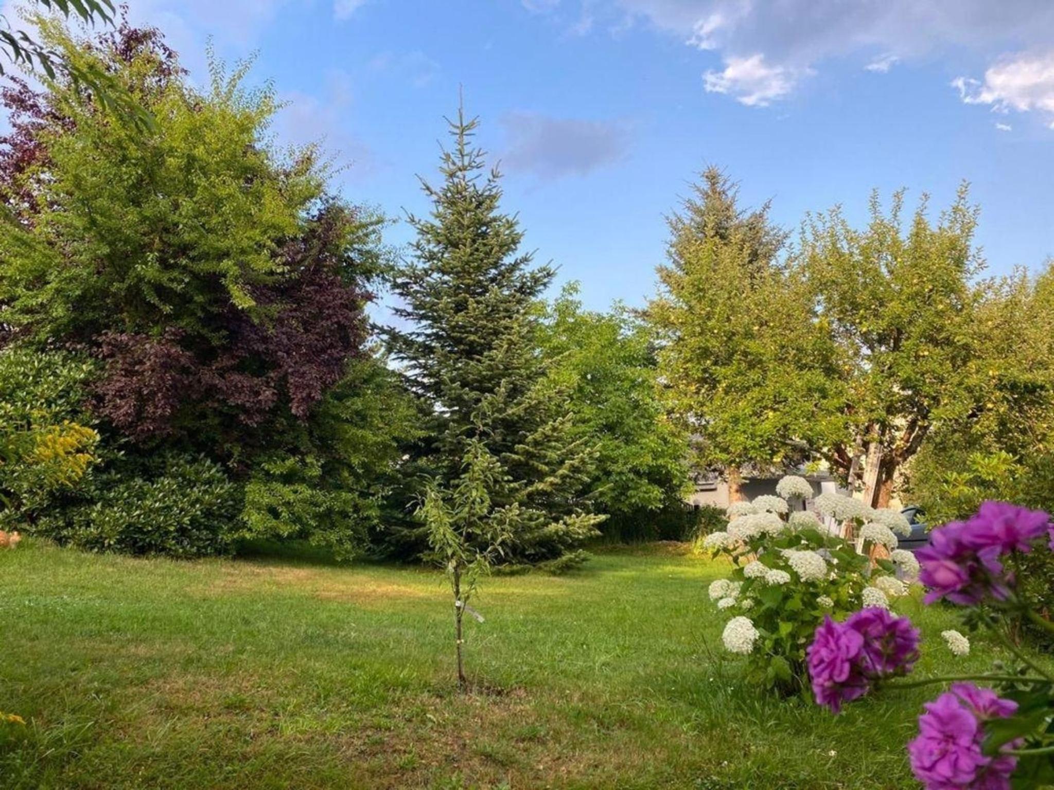 Geräumige Wohnung in Bad Elster mit Terrasse, Garten und Grill