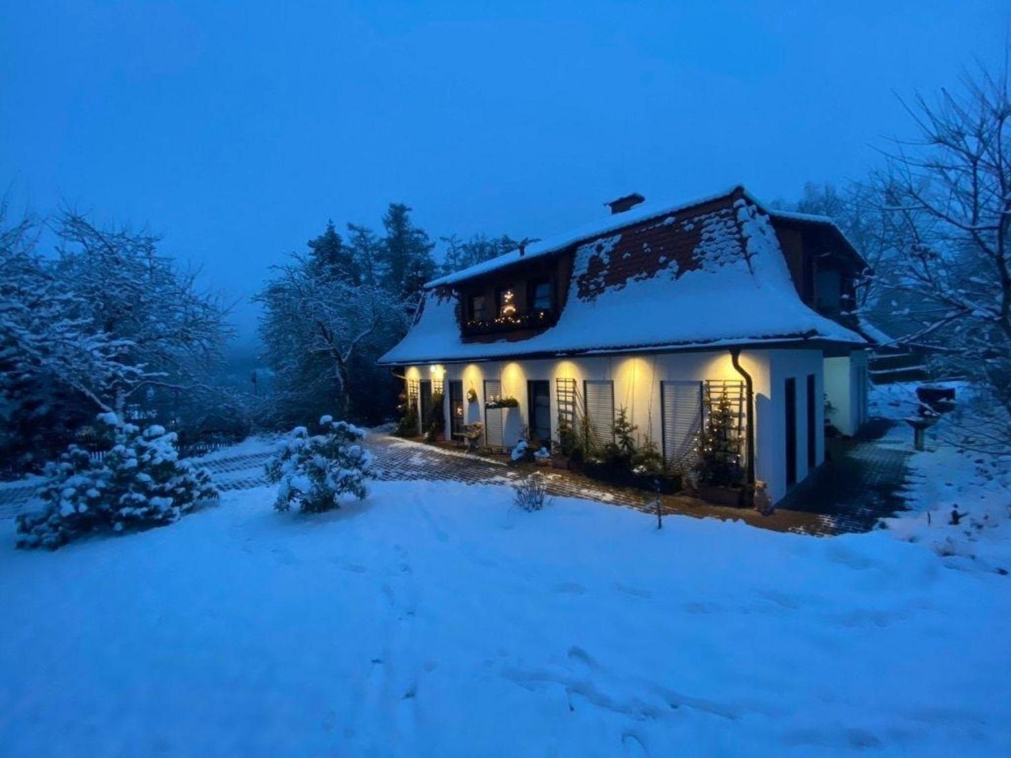 Geräumige Wohnung in Bad Elster mit Terrasse, Garten und Grill