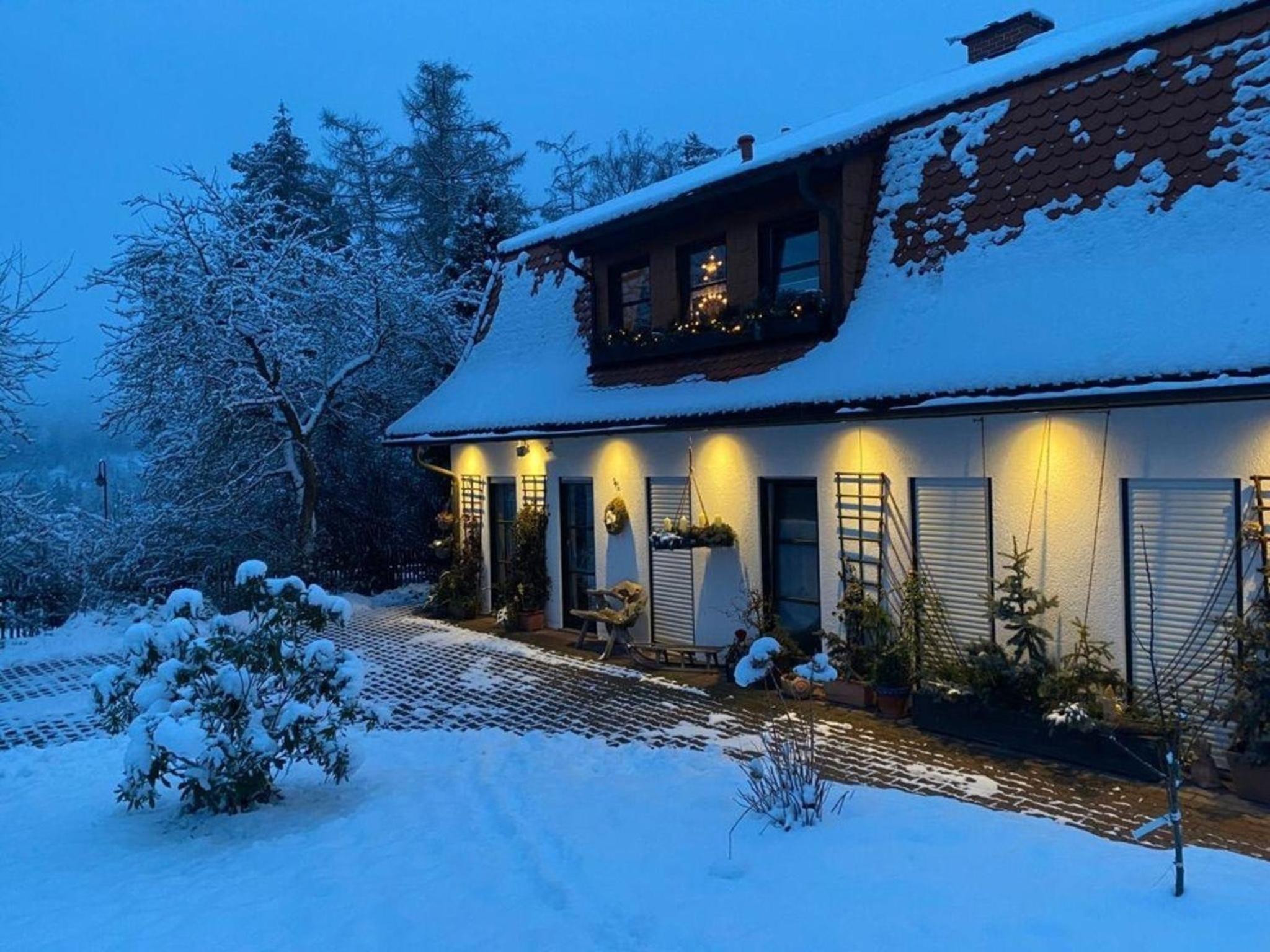 Geräumige Wohnung in Bad Elster mit Terrasse, Garten und Grill