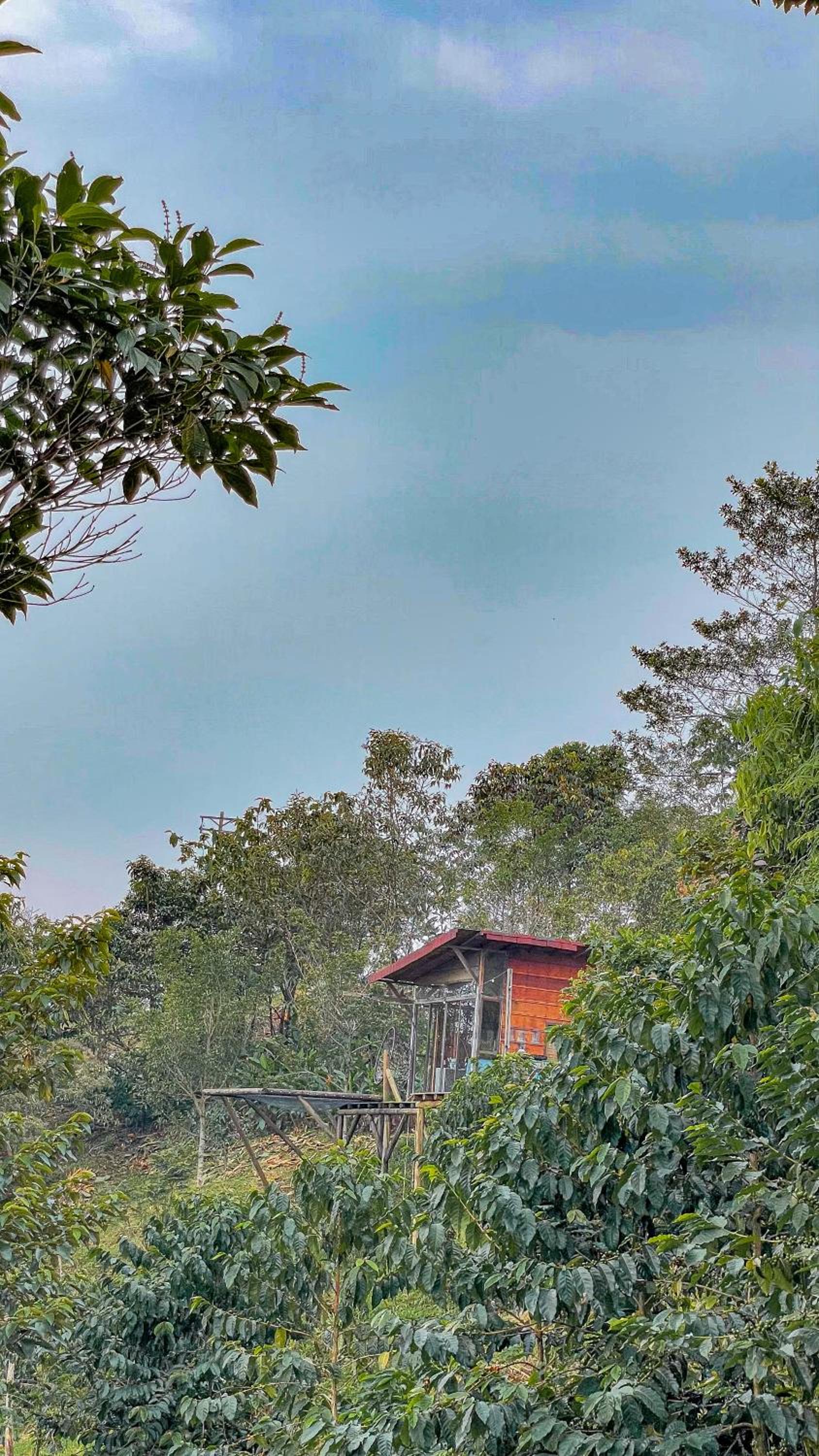 Nakuanü Glamping
