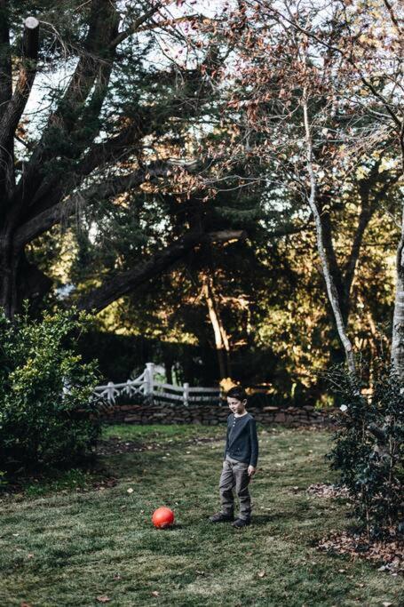 Treehouse Southern Highlands