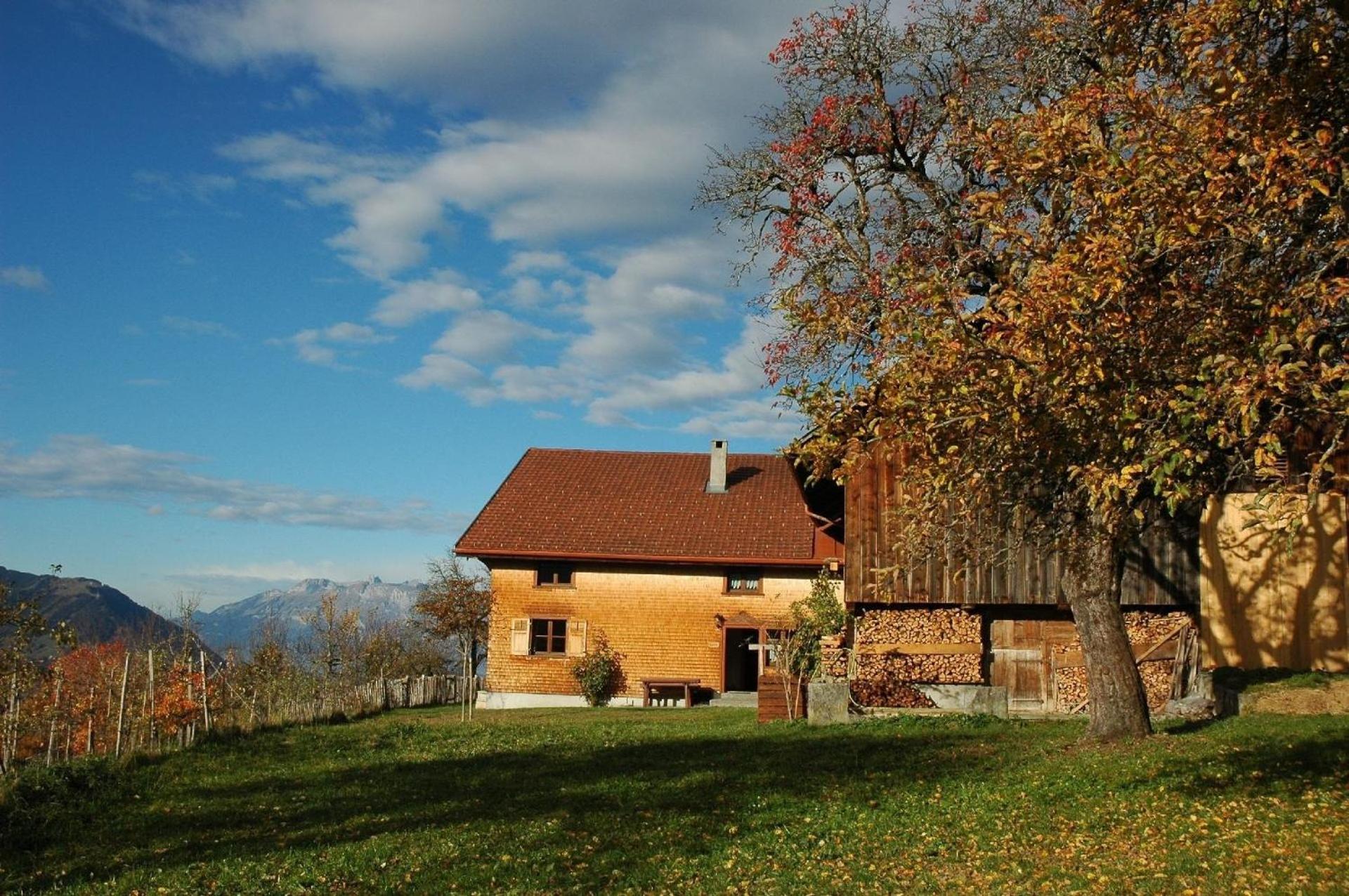 Ferienhaus Dünser In Dünserberg