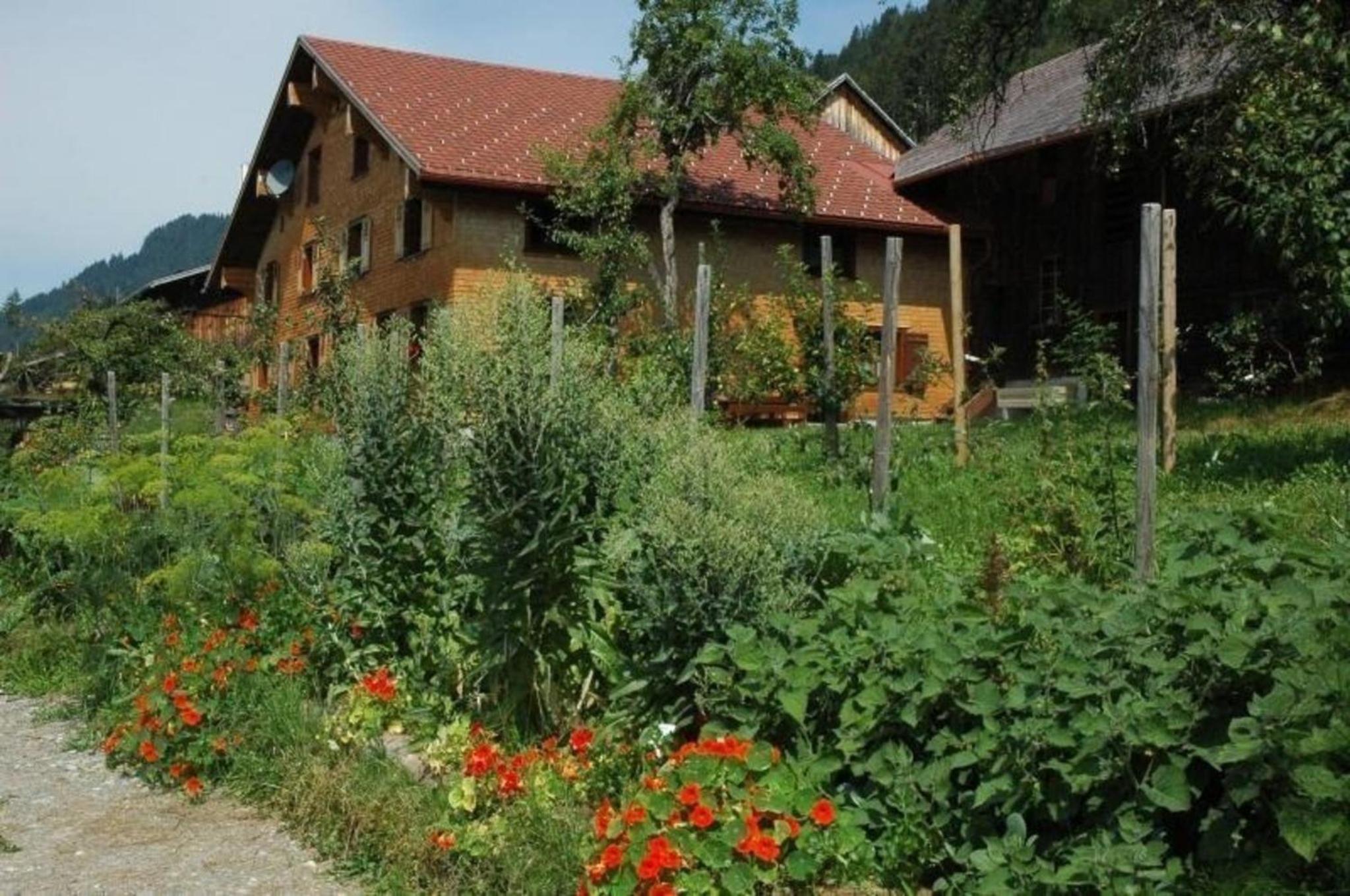 Ferienhaus Dünser In Dünserberg