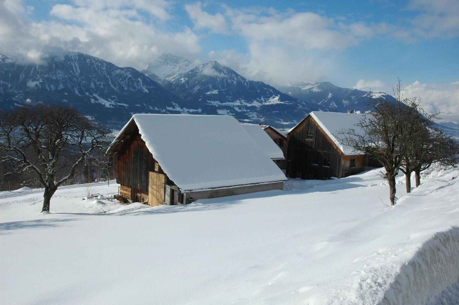 Ferienhaus Dünser In Dünserberg