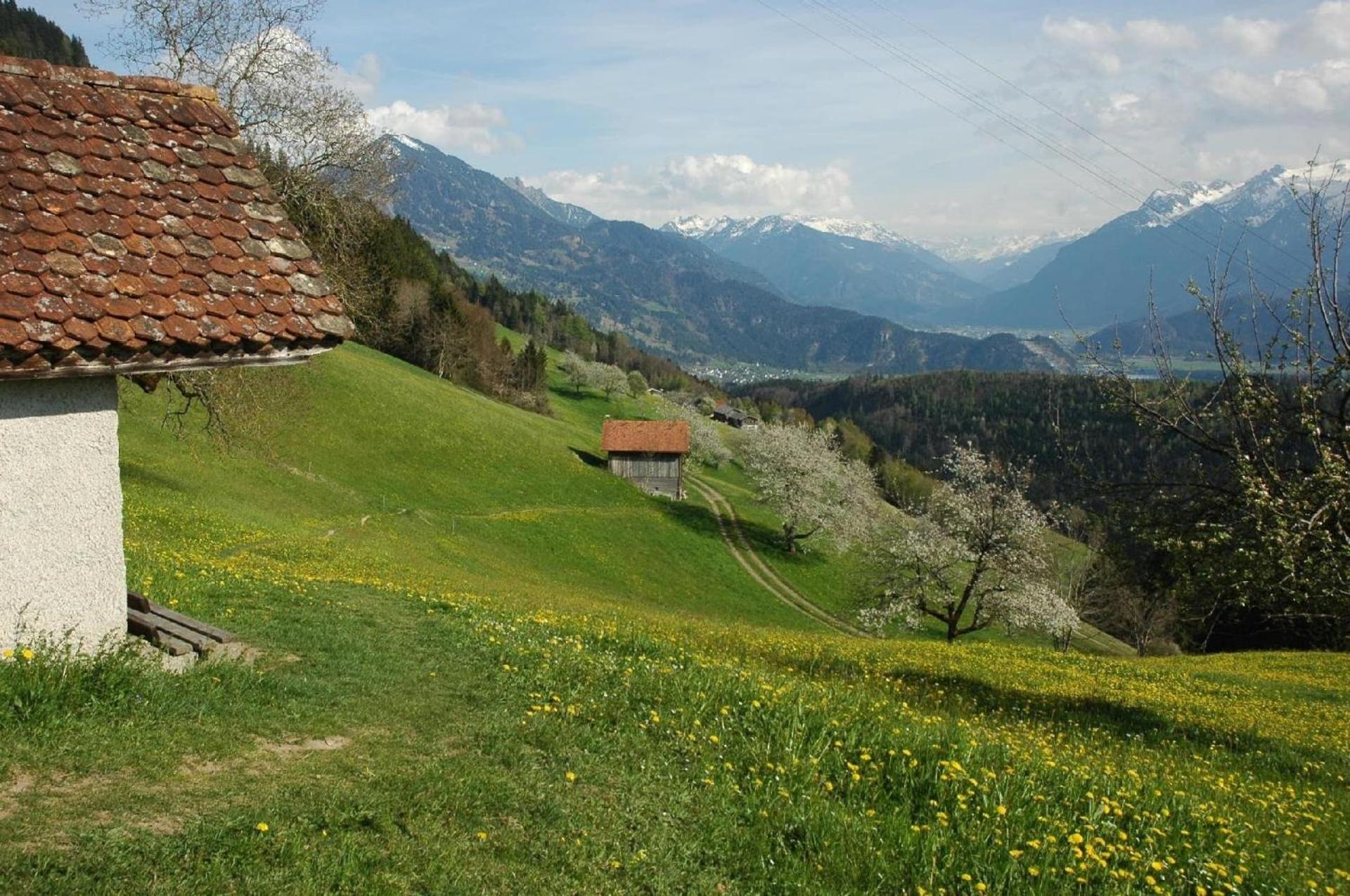Ferienhaus Dünser In Dünserberg
