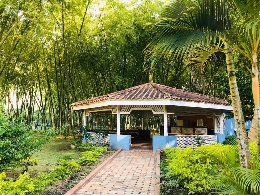 Disfrute y descanse en conexión con la naturaleza