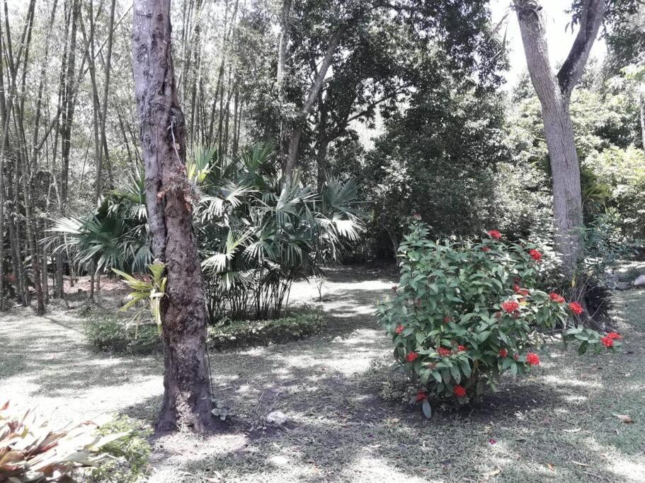 Disfrute y descanse en conexión con la naturaleza