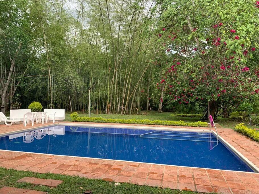 Disfrute y descanse en conexión con la naturaleza