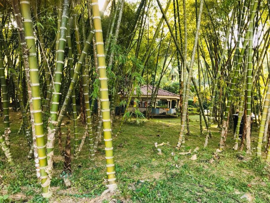 Disfrute y descanse en conexión con la naturaleza