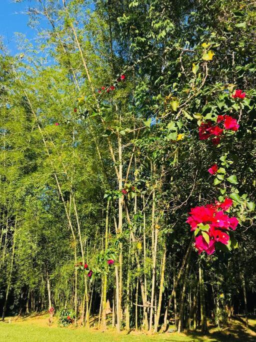 Disfrute y descanse en conexión con la naturaleza