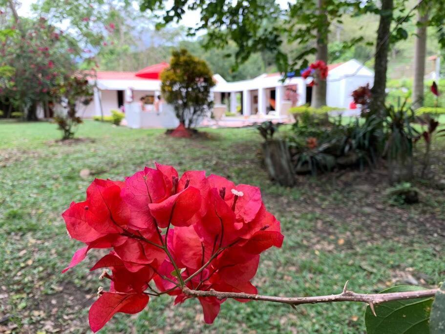 Disfrute y descanse en conexión con la naturaleza