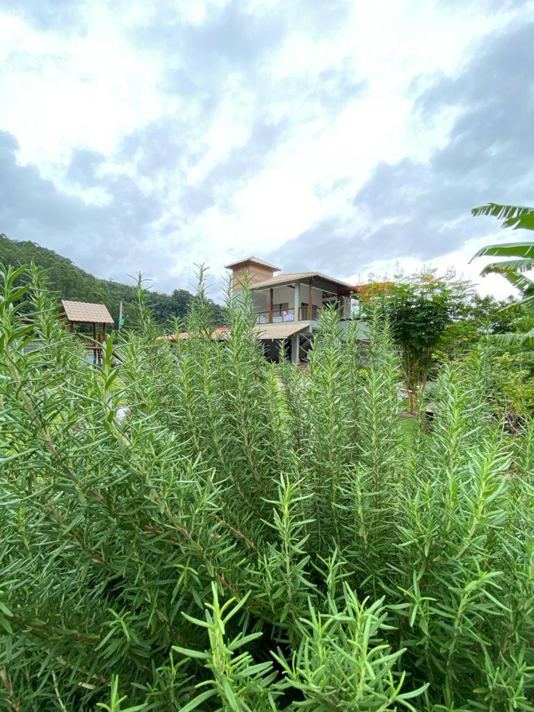 Recanto dos Pássaros