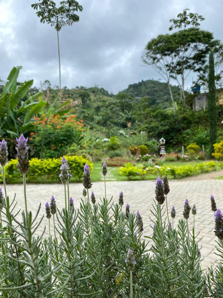 Recanto dos Pássaros