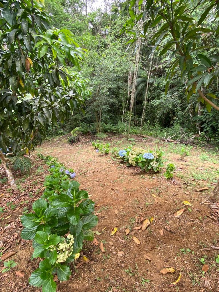 Recanto dos Pássaros