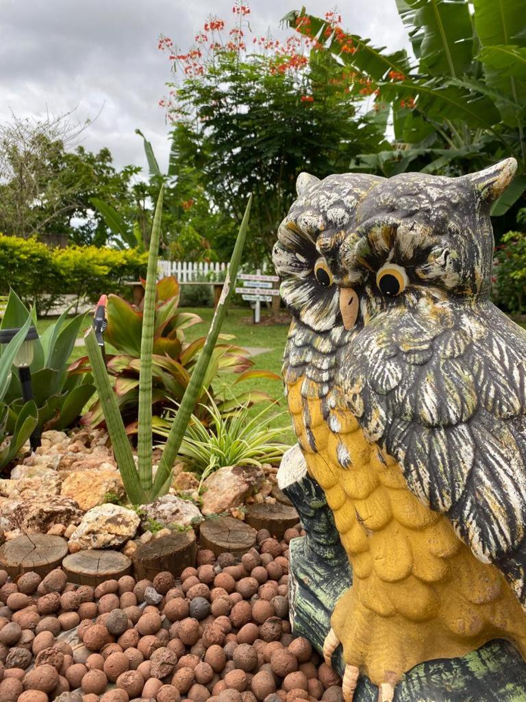 Recanto dos Pássaros