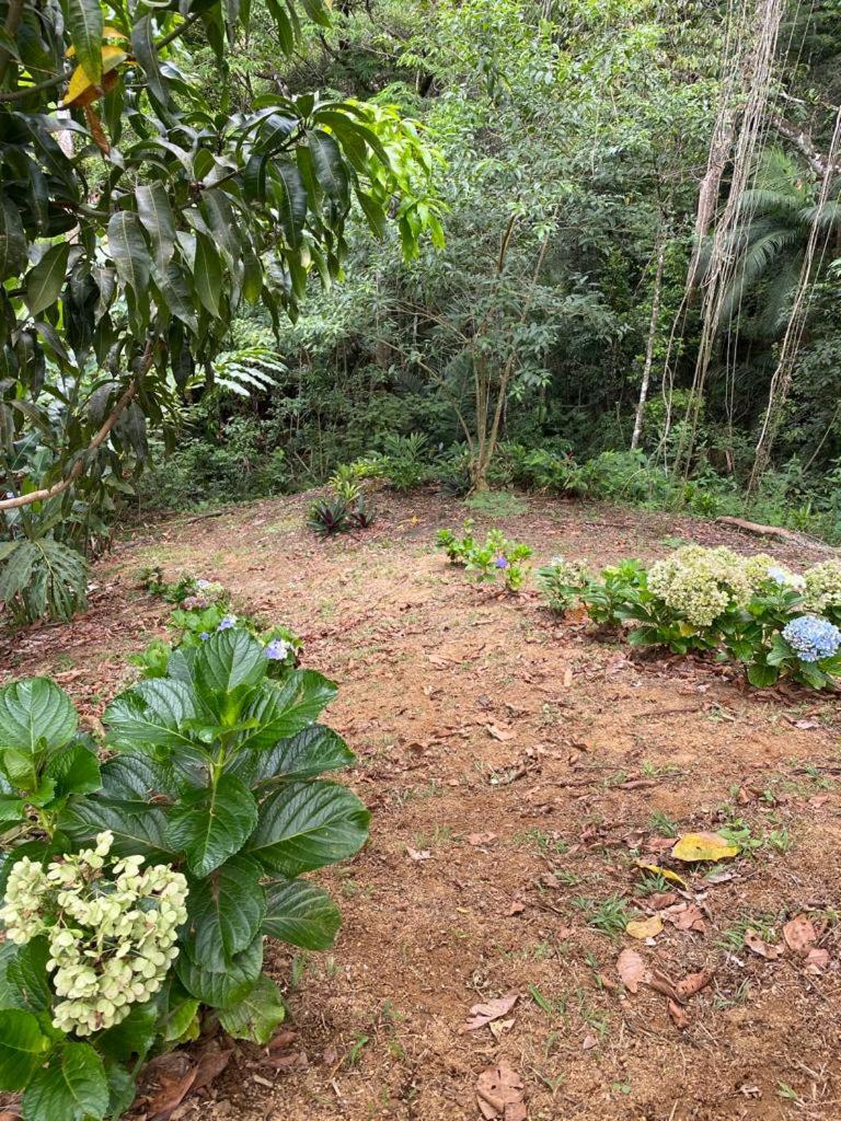 Recanto dos Pássaros