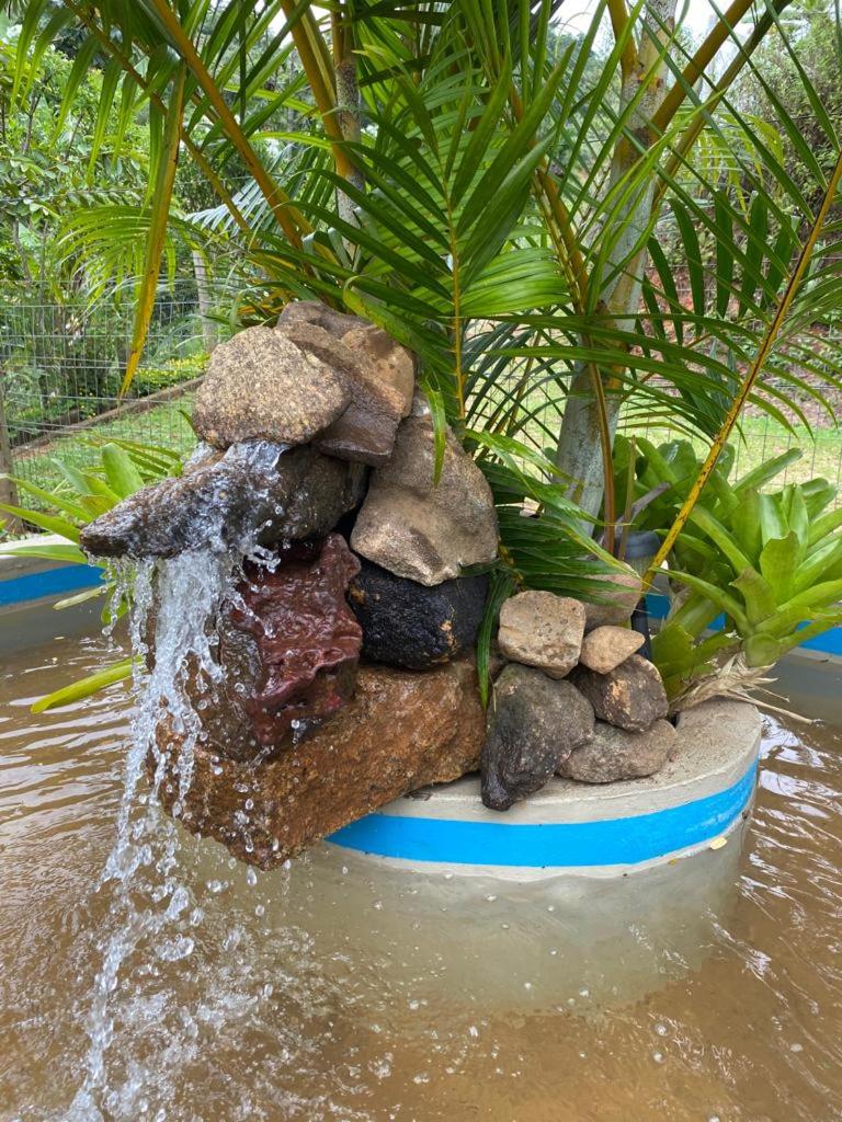 Recanto dos Pássaros