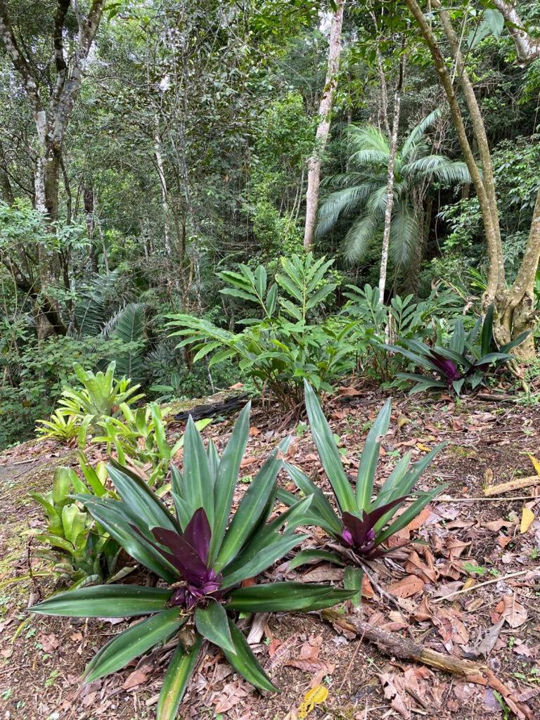 Recanto dos Pássaros