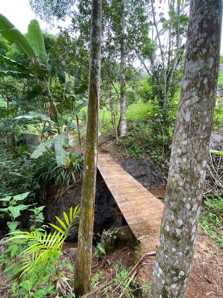 Recanto dos Pássaros
