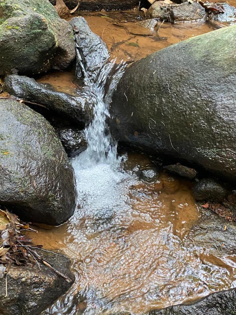 Recanto dos Pássaros