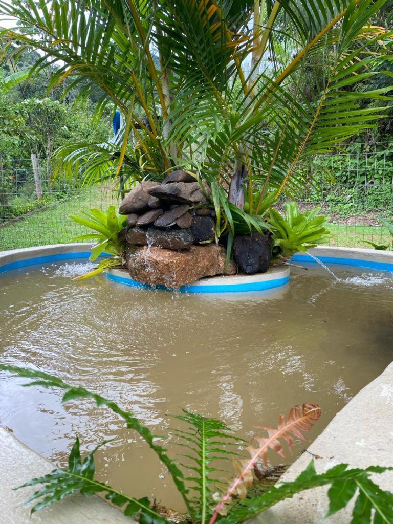 Recanto dos Pássaros