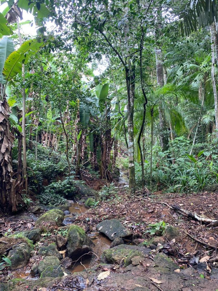 Recanto dos Pássaros