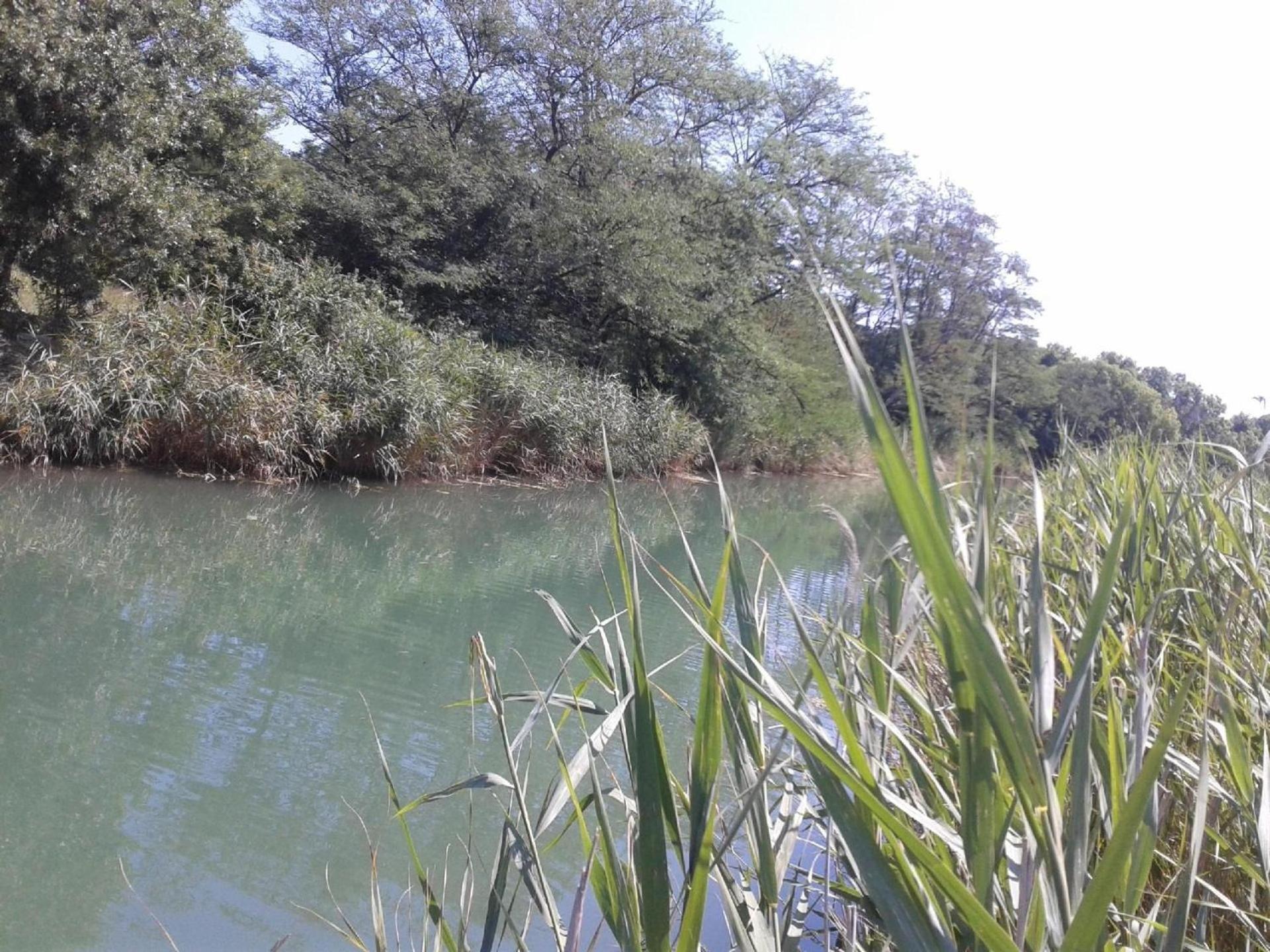 Am Fluss Gelegenes Haus Mit Galerieschlafplätzen