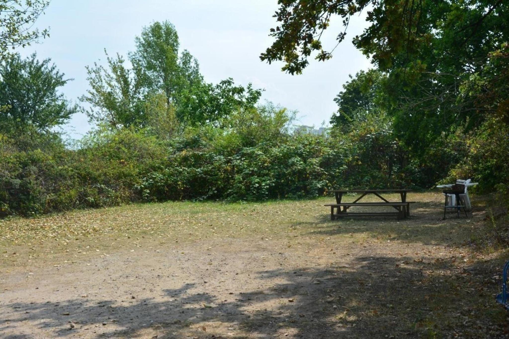 Kunstsammler