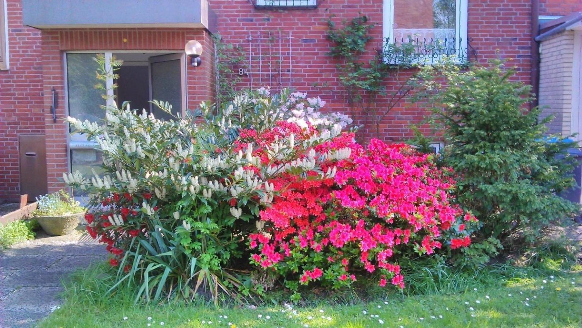 Wohnung In Altengroden Mit Garten