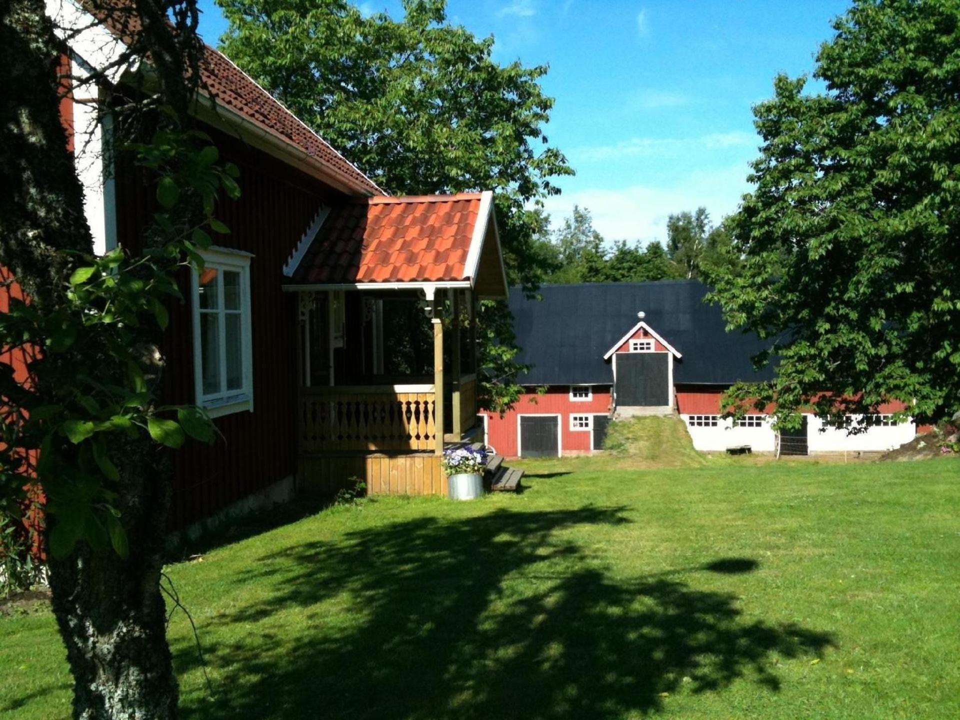 Photo 10