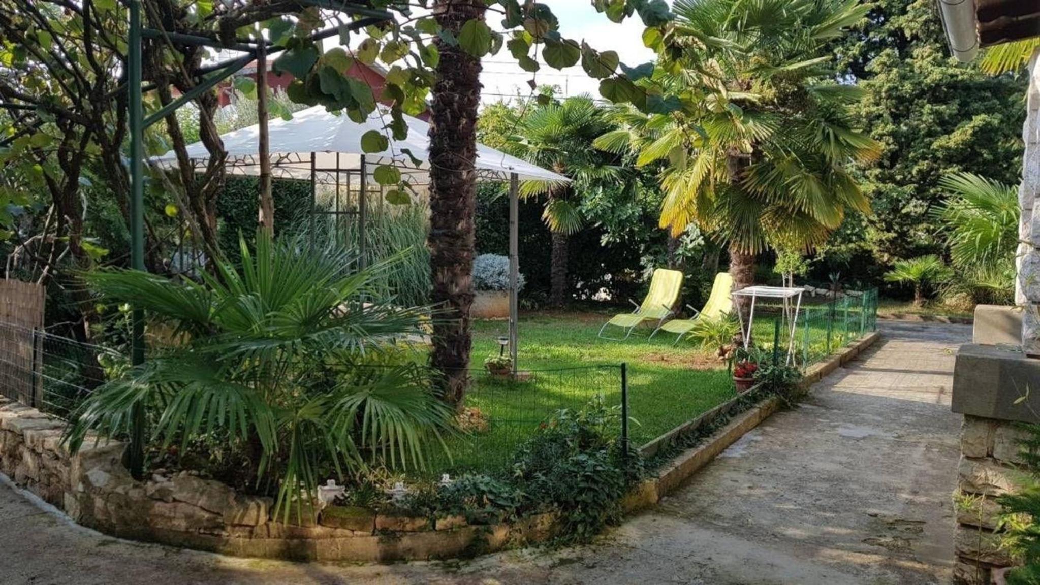 Ivaana view 5