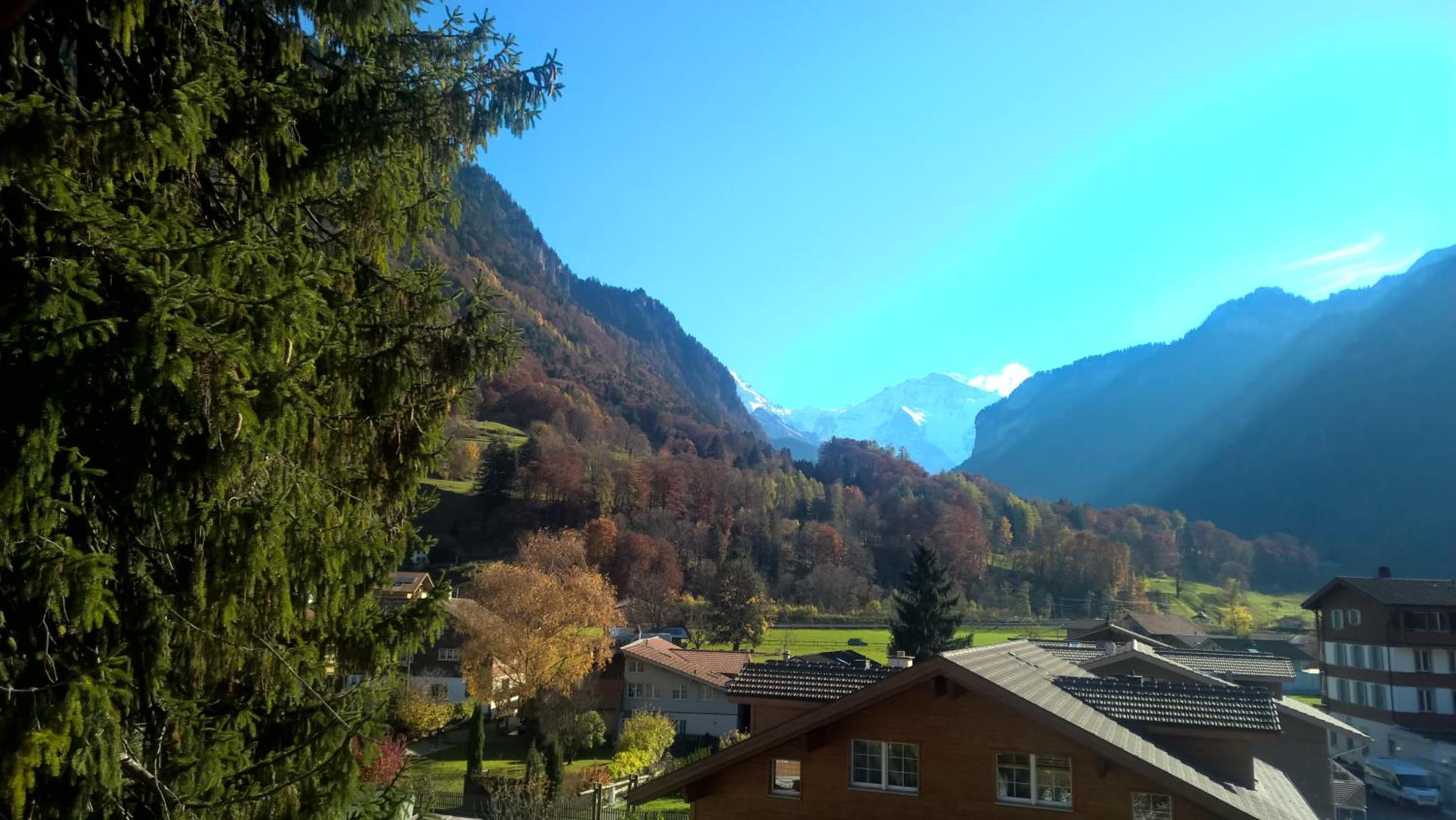 Edelweiss Lodge