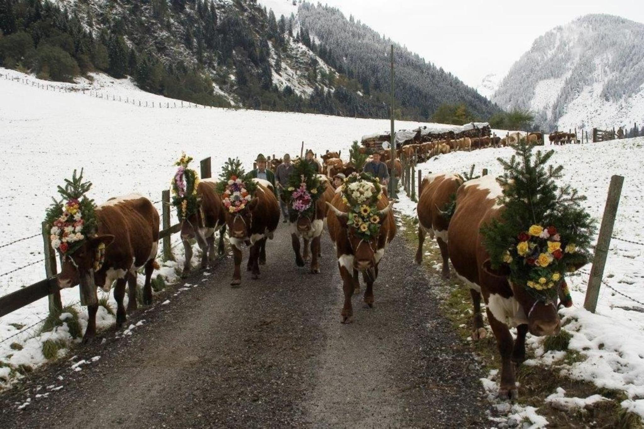 Ferienwohnung Sonnblick in Hollersbach im Pinzgau