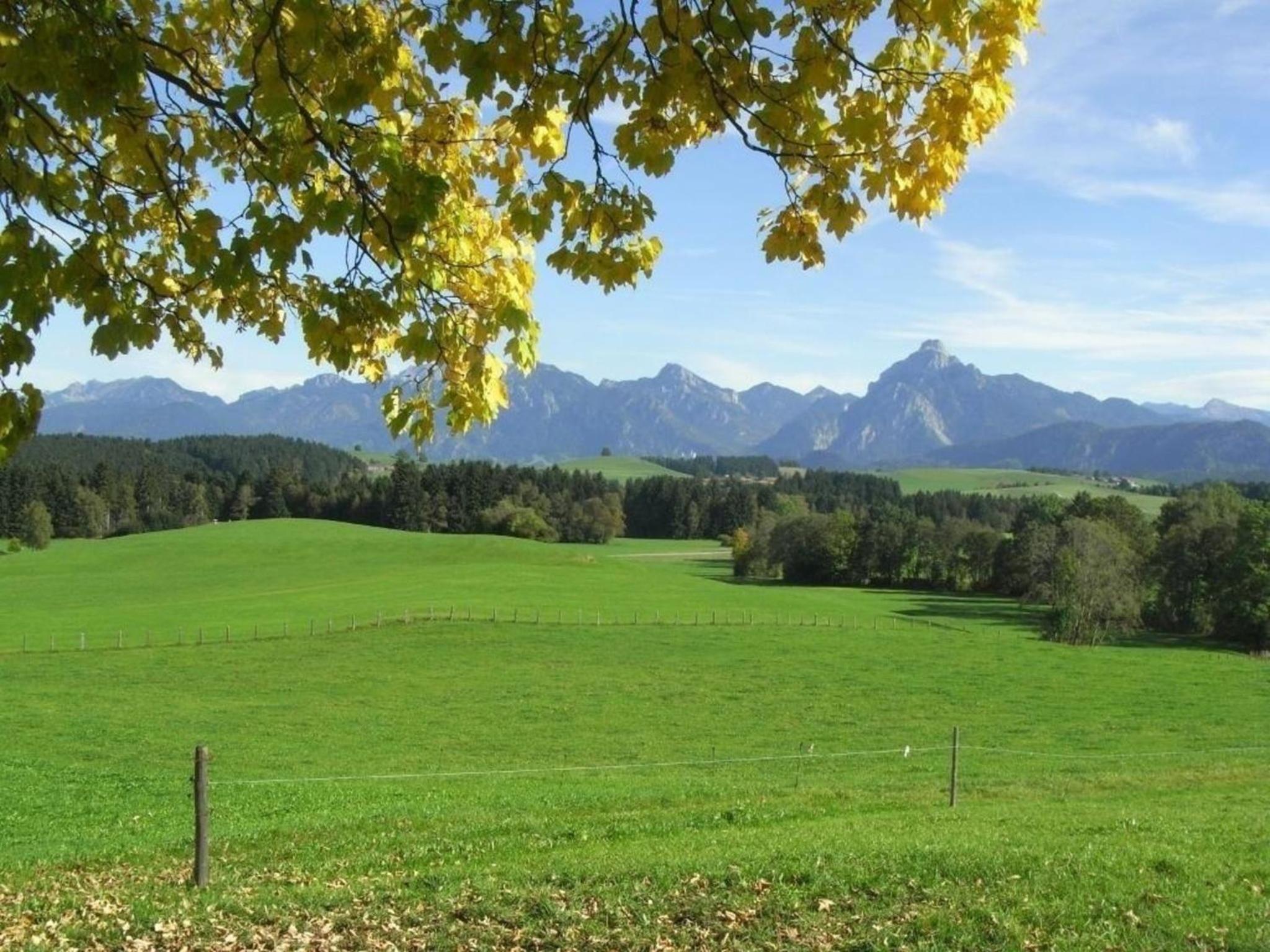 Wohnung in Dietringen mit Privatem Garten und Neben dem Strand
