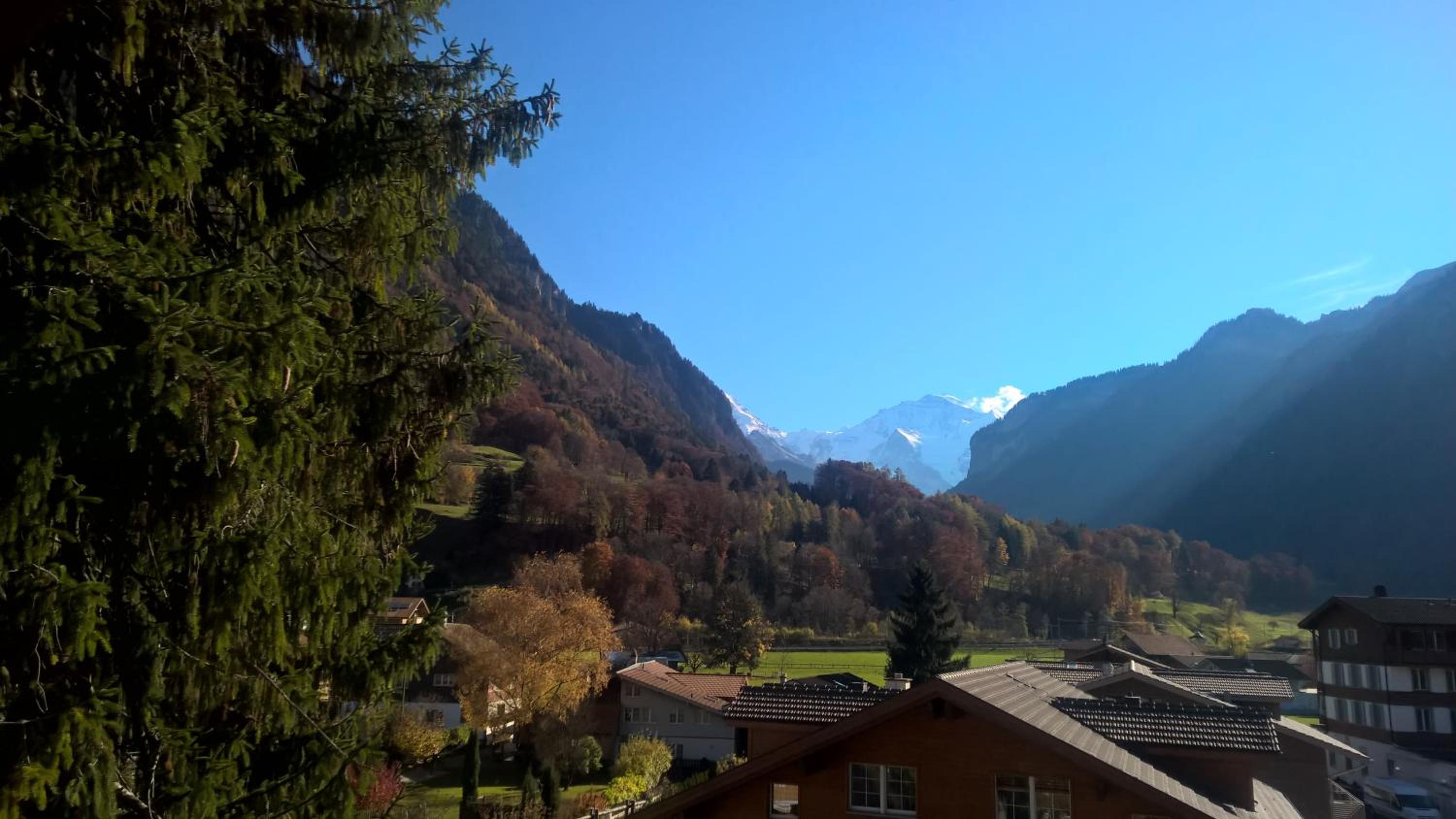 Edelweiss Lodge