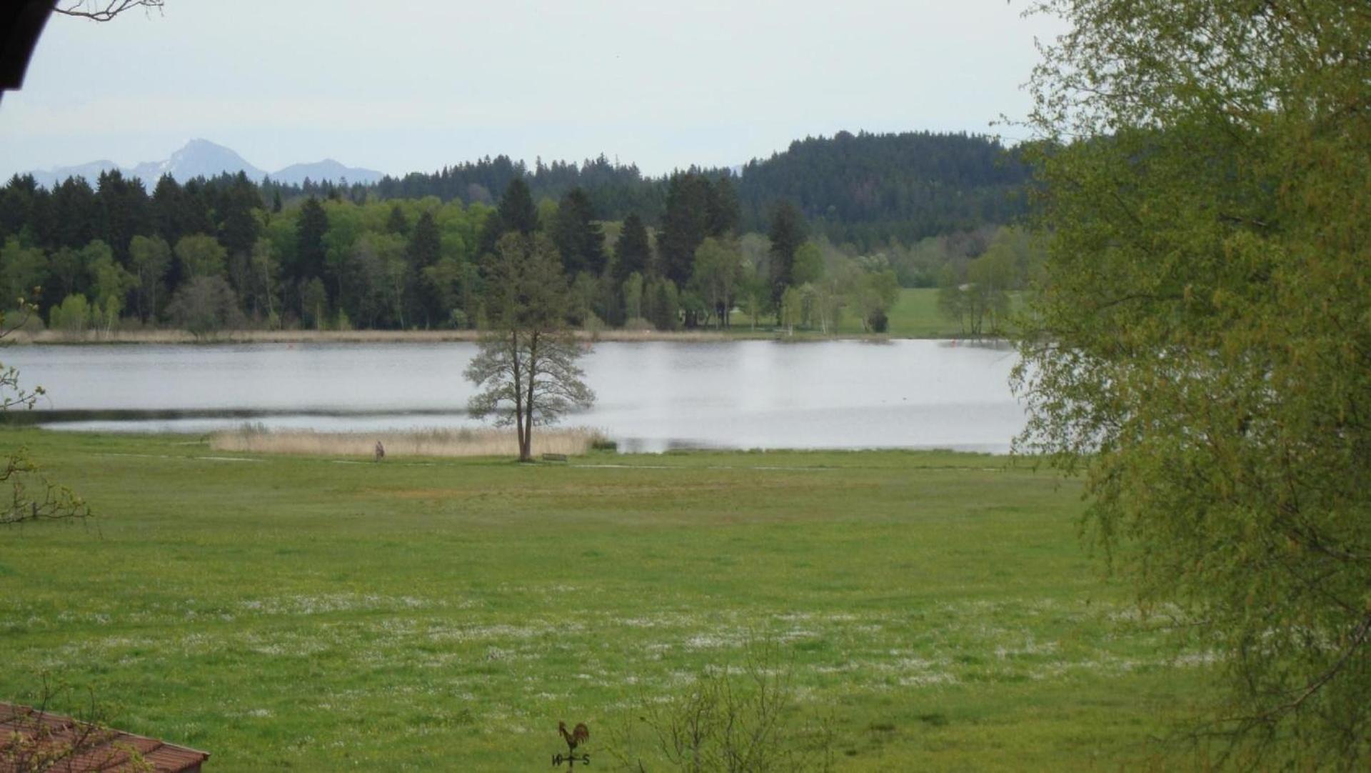 Dachgeschosswohnung Mit Toller Aussicht Vom Balkon