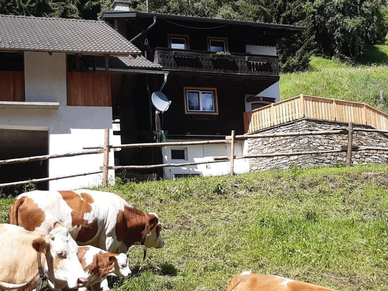 Ferienhaus Teichhaus in Grades