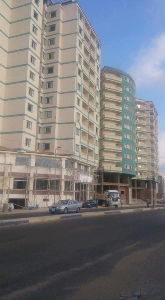 Almontza alexandrea