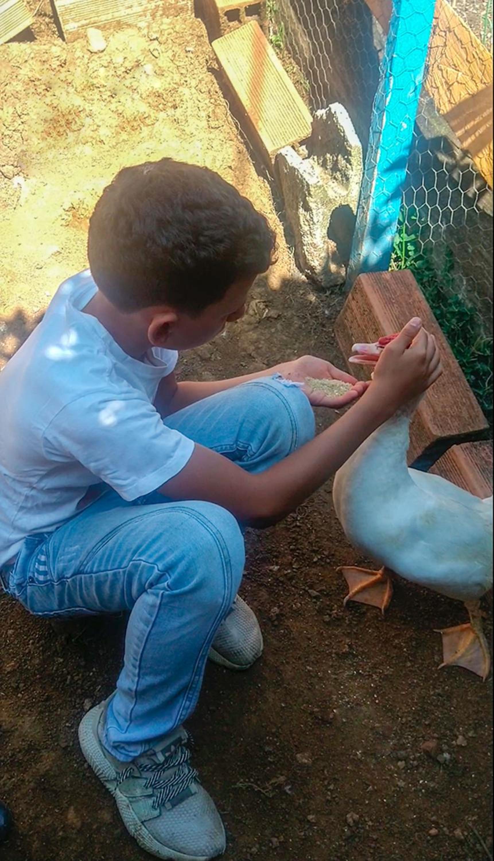 Casa Viva Alojamiento Rural