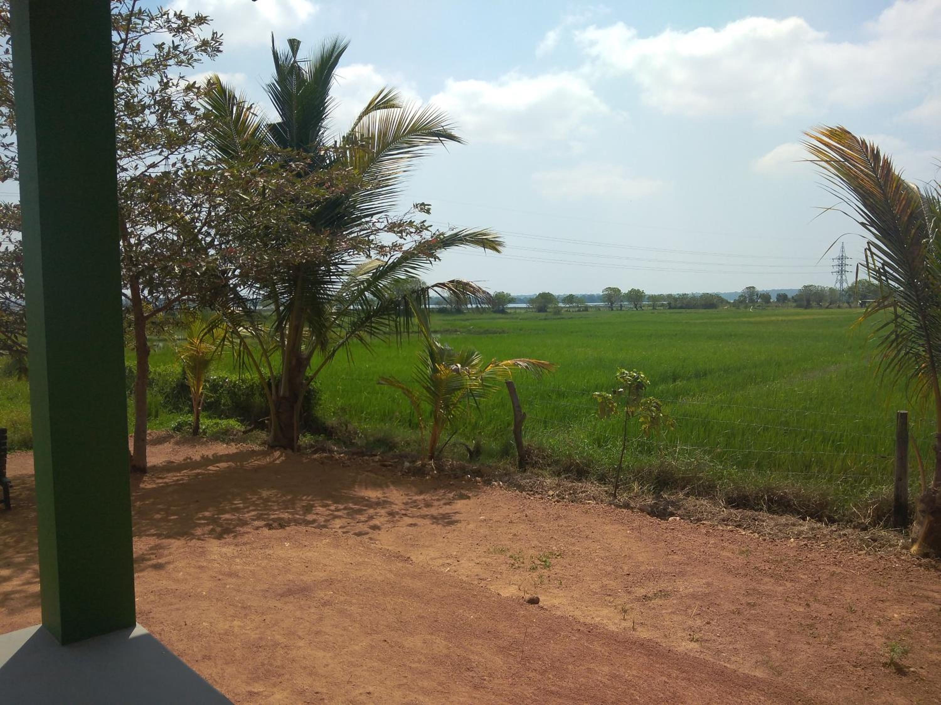 WHY NOT guesthouse view 2