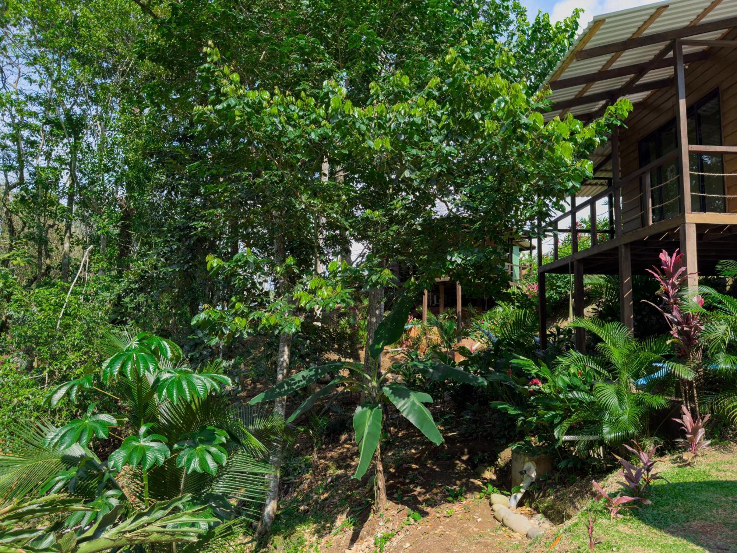 Cabañas Hermanos Solano