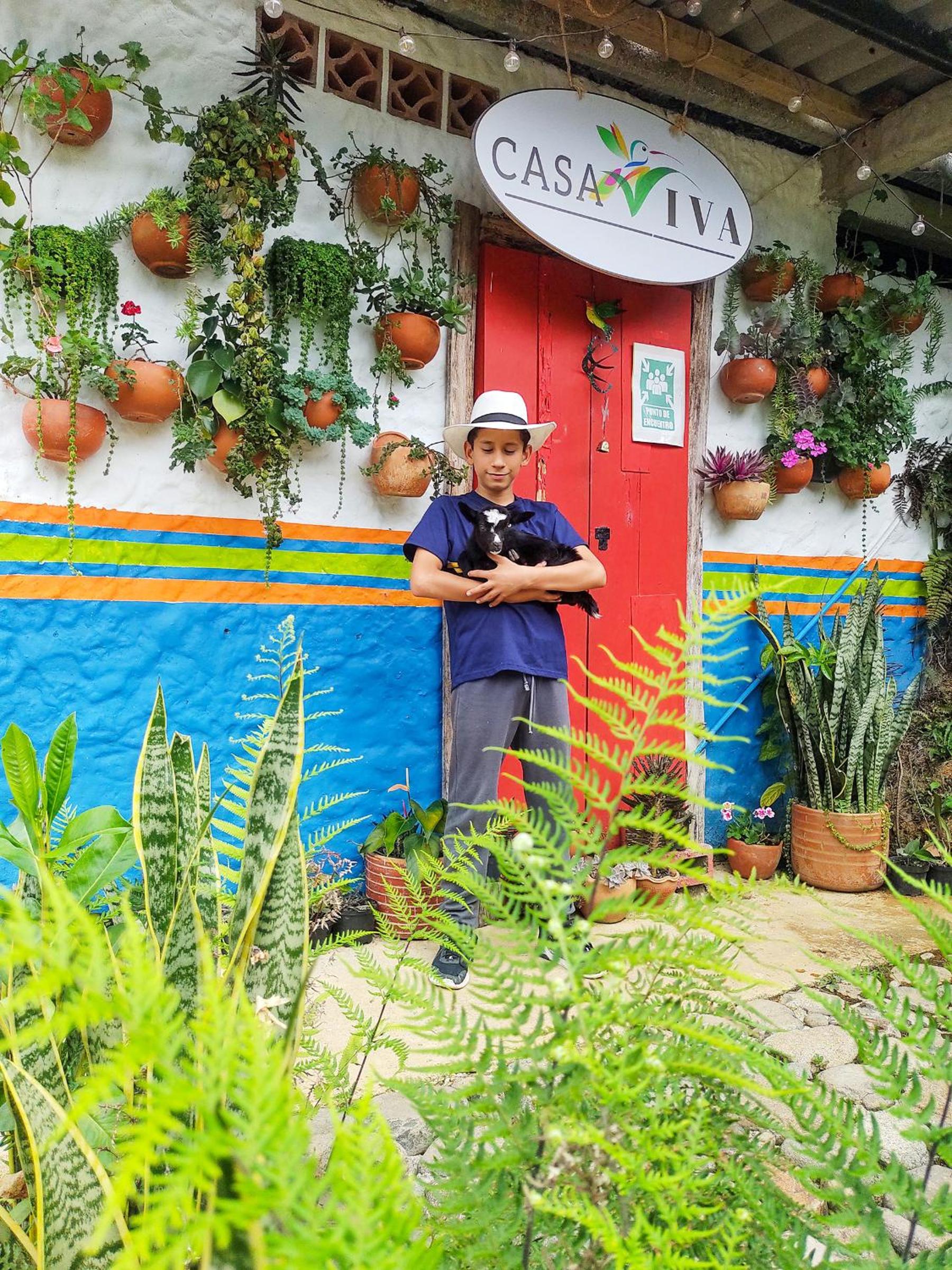 Casa Viva Alojamiento Rural