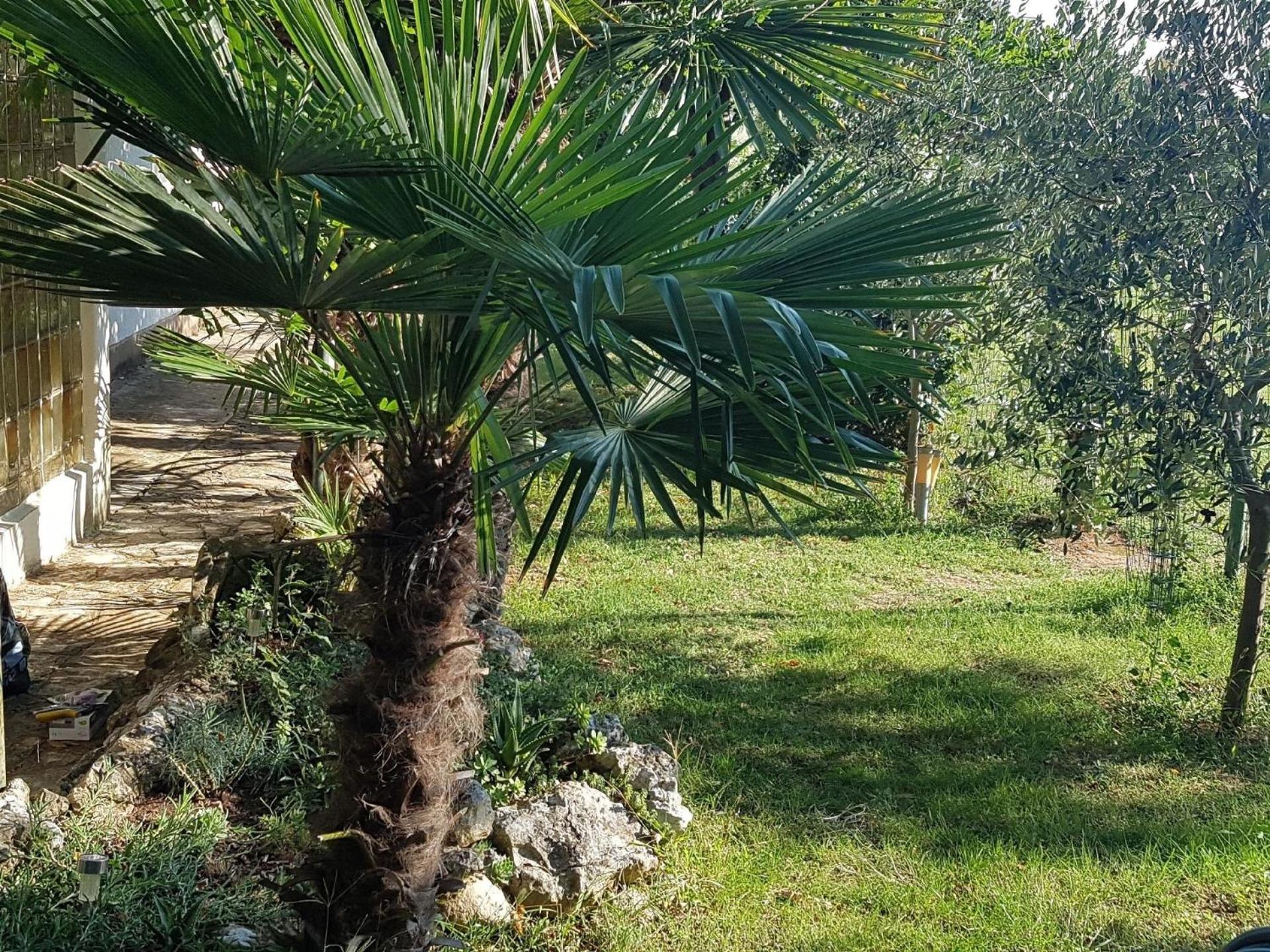 Ferienhaus in Banjole mit Großem Garten view 5
