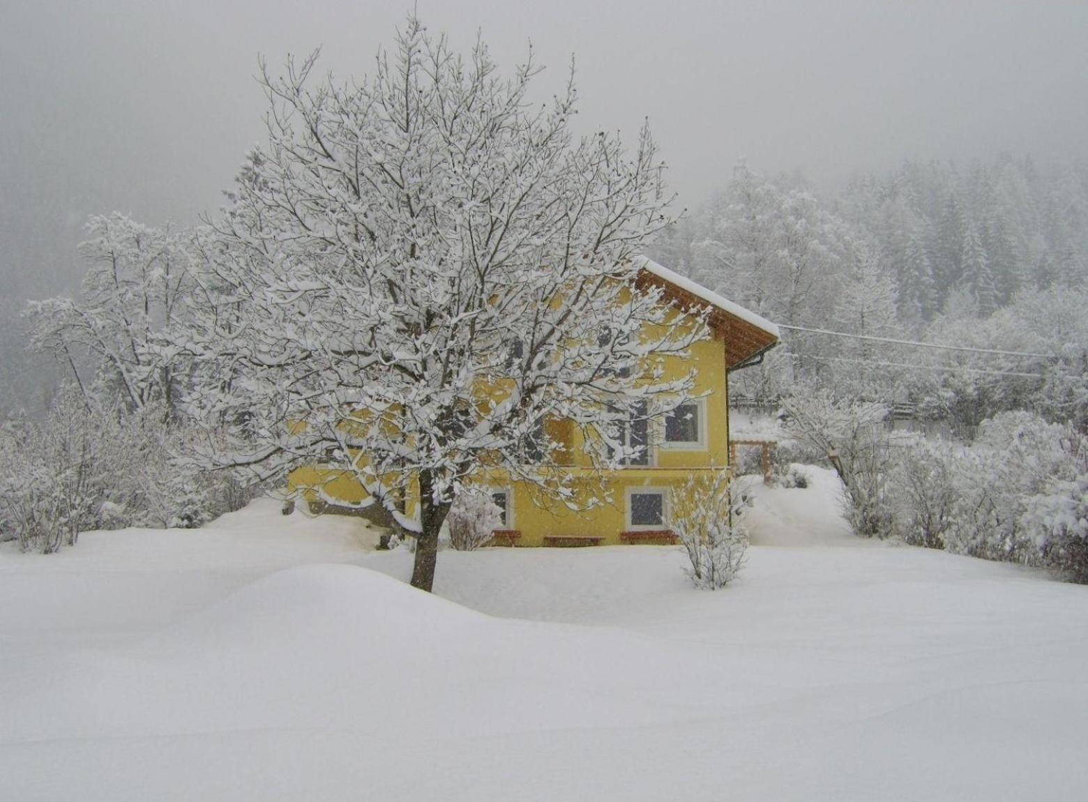 Ruhige Ferienwohnung in Feld am See