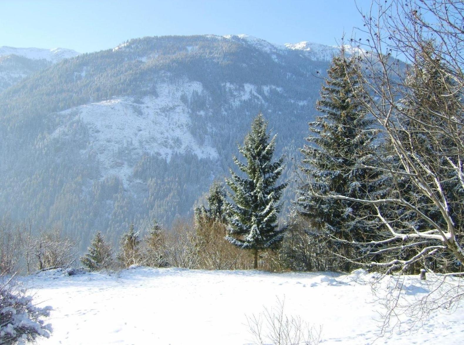Ruhige Ferienwohnung in Feld am See