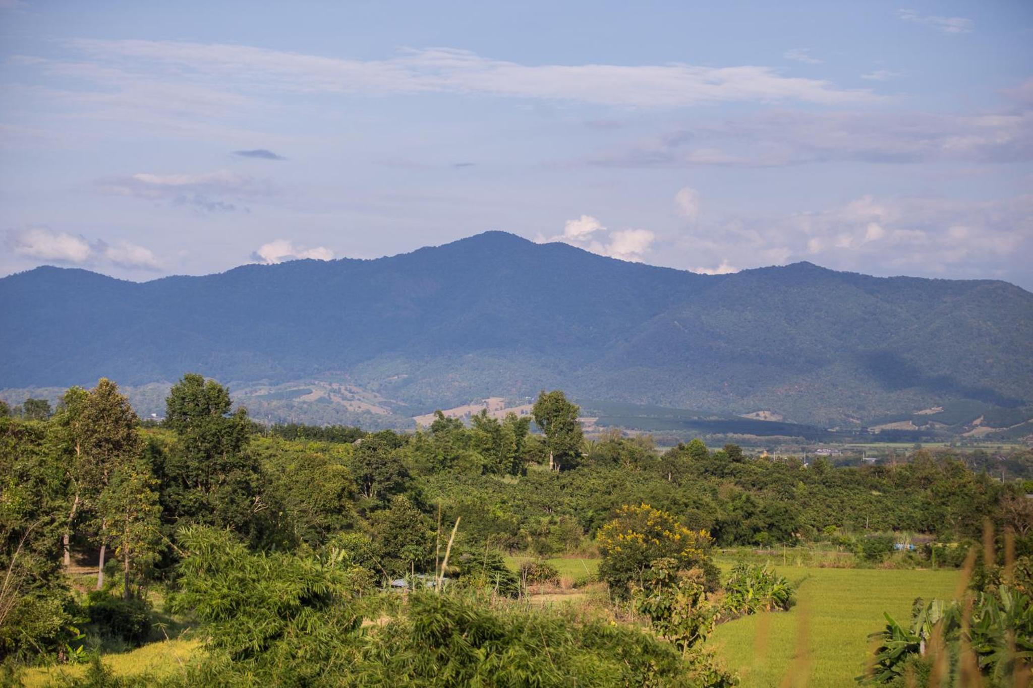 Phoomtada Homestay