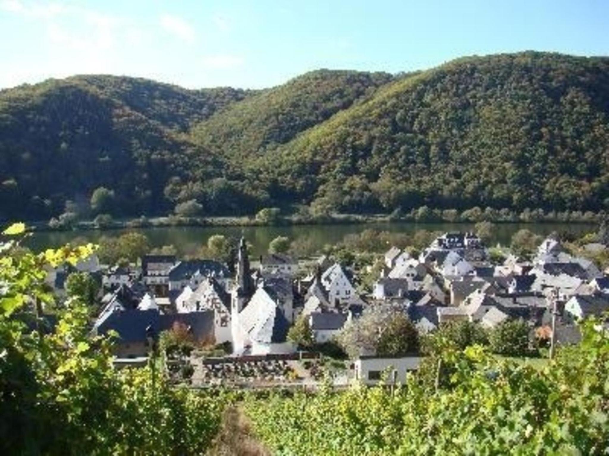 Ferienhaus Altes Winzerhaus In Mesenich